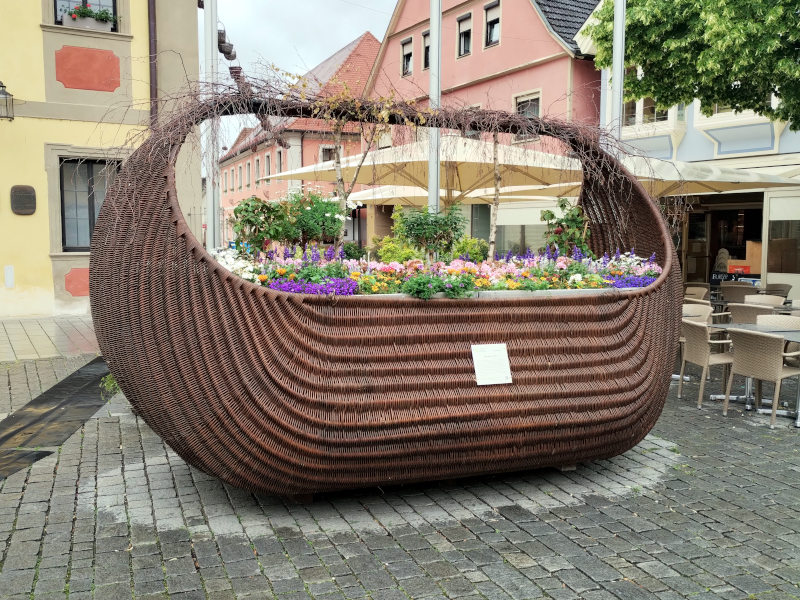 Bild der Woche