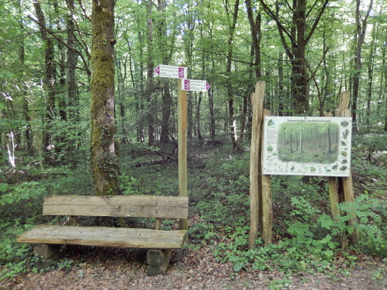 SHS-Traumschleife Hirn-Gallenberg Tour