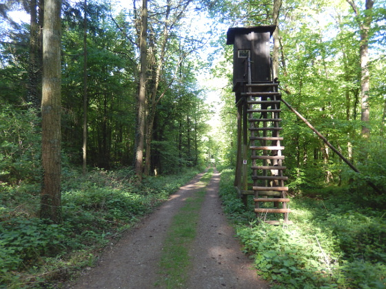 SHS-Traumschleife Hirn-Gallenberg Tour