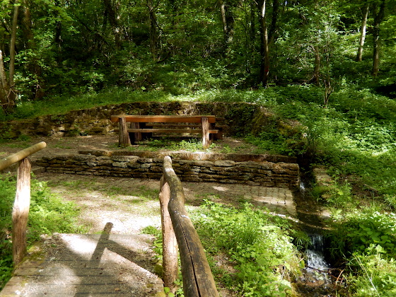 SHS-Traumschleife Hirn-Gallenberg Tour