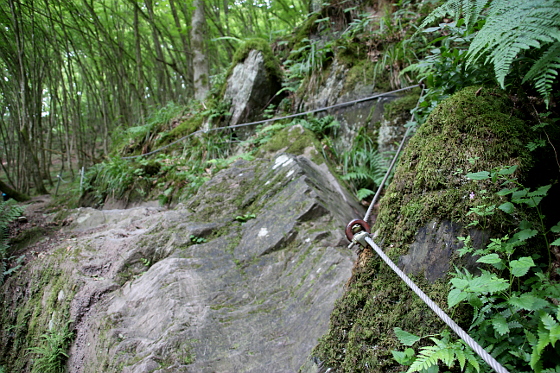 SHS-Traumschleife Baybachklamm