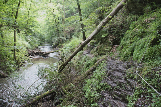 SHS-Traumschleife Baybachklamm