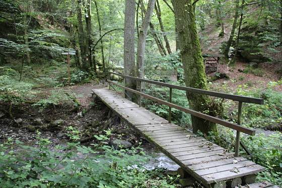 SHS-Traumschleife Baybachklamm