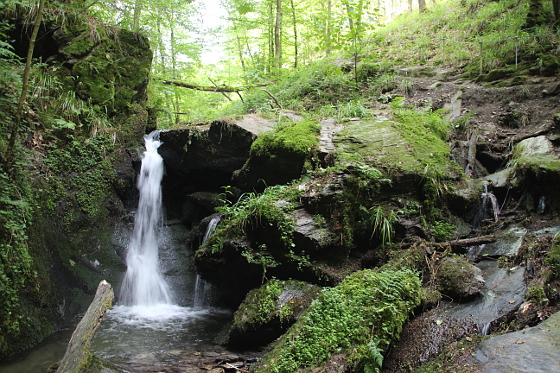 SHS-Traumschleife Baybachklamm