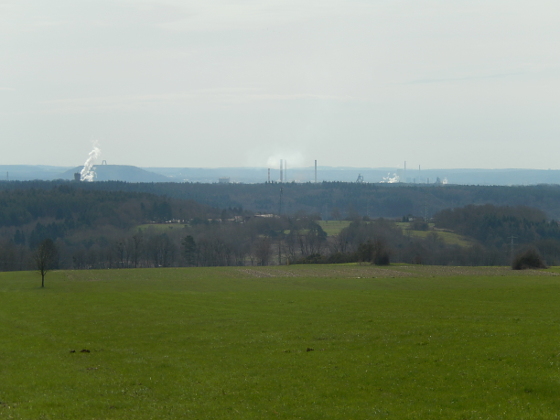 SHS-Traumschleife Beckinger Saarblicke