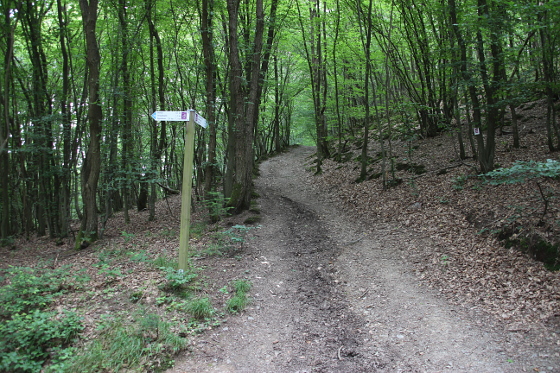 SHS-Traumschleife Ehrbachklamm