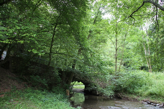 SHS-Traumschleife Ehrbachklamm