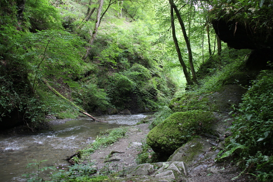 SHS-Traumschleife Ehrbachklamm