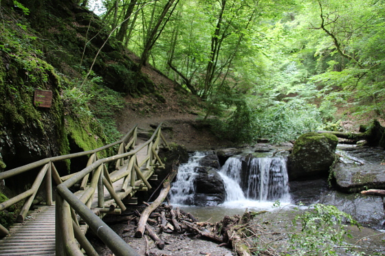 SHS-Traumschleife Ehrbachklamm