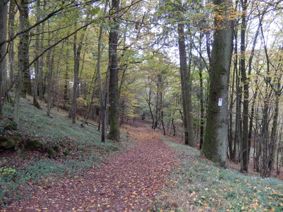 SHS-Traumschleife Erzgräberweg