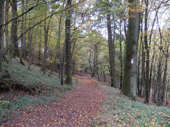 SHS-Traumschleife Erzgräberweg