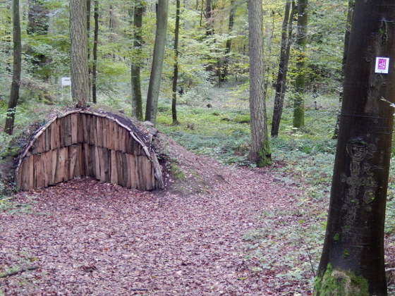 SHS-Traumschleife Erzgräberweg