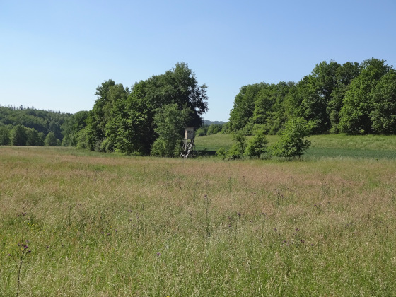 SHS-Traumschleife Georgi-Panoramaweg