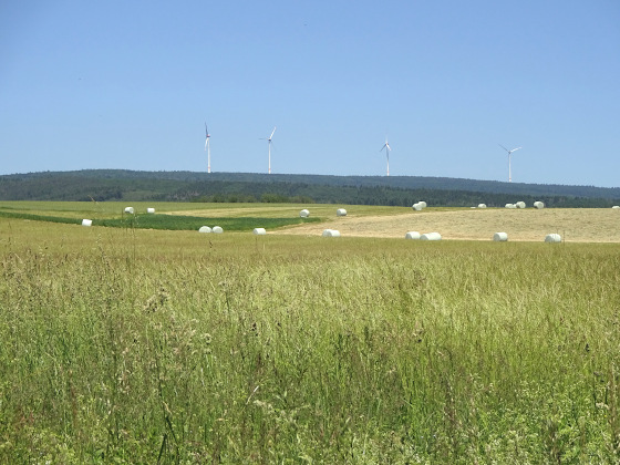 SHS-Traumschleife Georgi-Panoramaweg