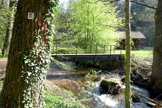 SHS-Traumschleife Hubertusrunde