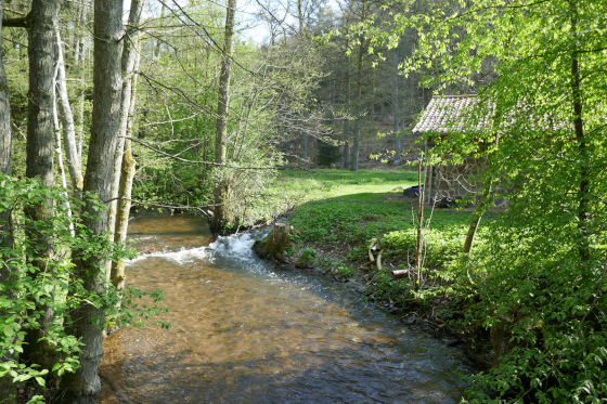 SHS-Traumschleife Hubertusrunde