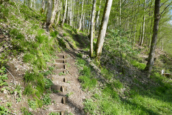 SHS-Traumschleife Hubertusrunde