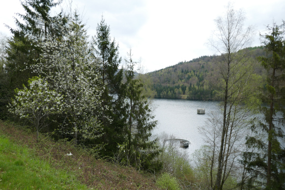 SHS-Traumschleife Hubertusrunde