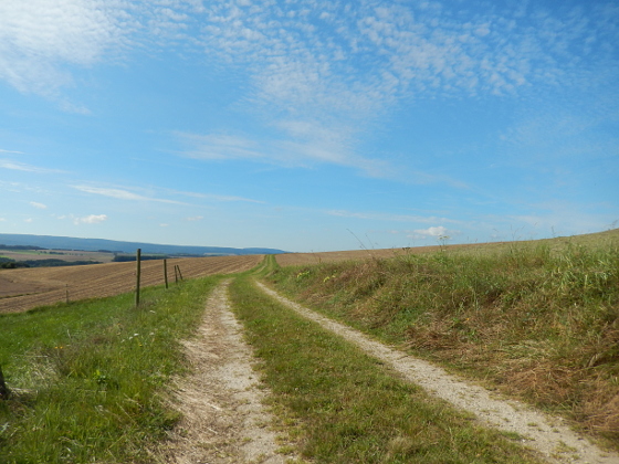 SHS-Traumschleife Jakob-Maria-Mierscheid-Weg