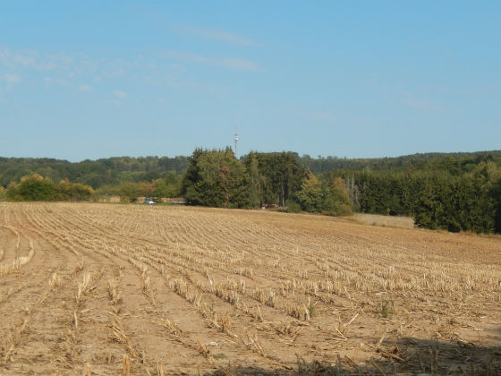 SHS-Traumschleife Mühlenbach-Schluchtentour