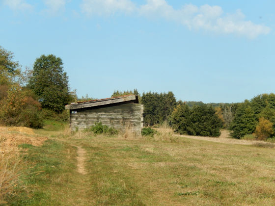 SHS-Traumschleife Mühlenbach-Schluchtentour