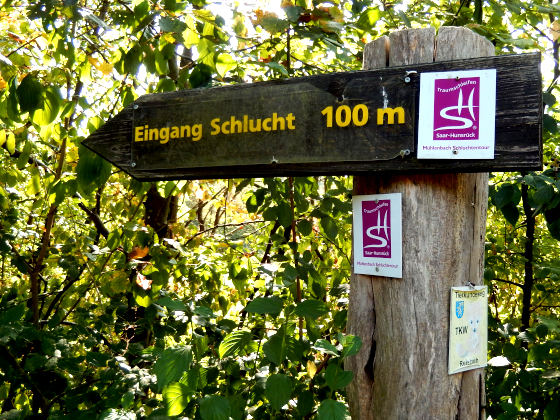 SHS-Traumschleife Mühlenbach-Schluchtentour