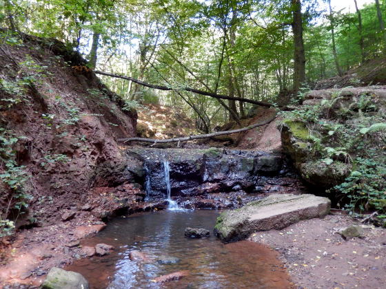 SHS-Traumschleife Mühlenbach-Schluchtentour