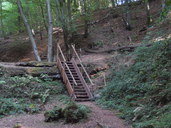 SHS-Traumschleife Mühlenbach-Schluchtentour