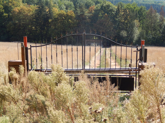 SHS-Traumschleife Mühlenbach-Schluchtentour