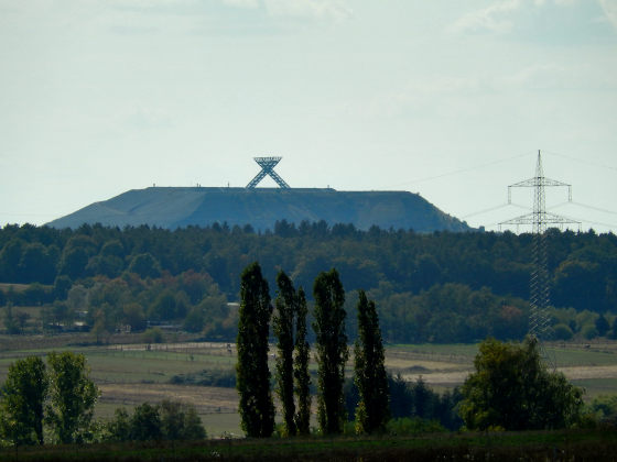 SHS-Traumschleife Mühlenbach-Schluchtentour