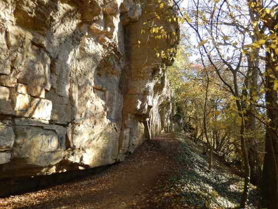 SHS-Traumschleife Manternacher Fiels