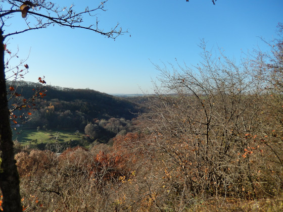 SHS-Traumschleife Manternacher Fiels