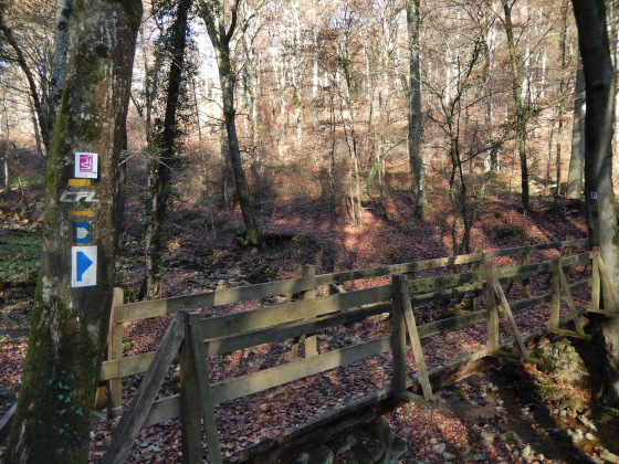 SHS-Traumschleife Manternacher Fiels