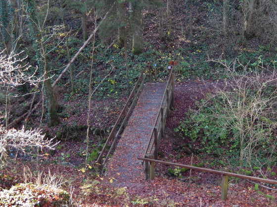 SHS-Traumschleife Manternacher Fiels