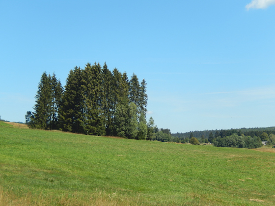 SHS-Traumschleife Börfinker Ochsentour