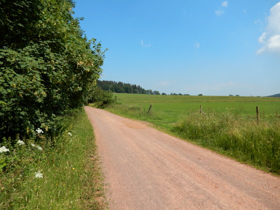 SHS-Traumschleife Saarhölzbachtal