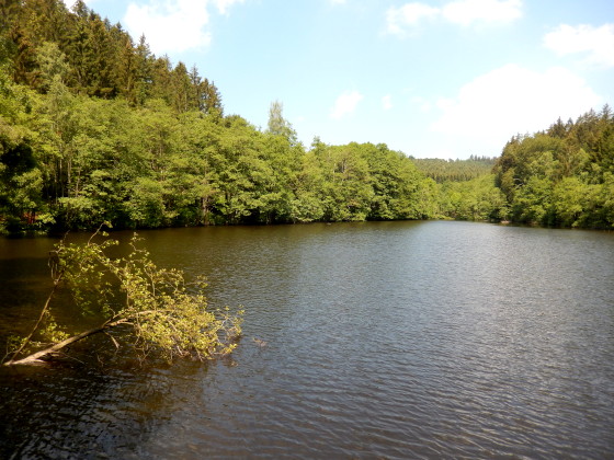 SHS-Traumschleife Saarhölzbachtal