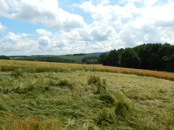 SHS-Traumschleife Schillinger Panoramaweg