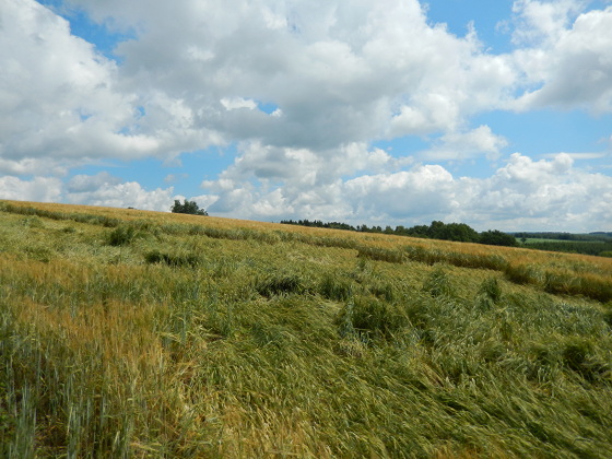 SHS-Traumschleife Schillinger Panoramaweg