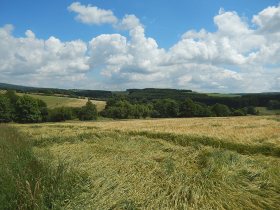 SHS-Traumschleife Schillinger Panoramaweg