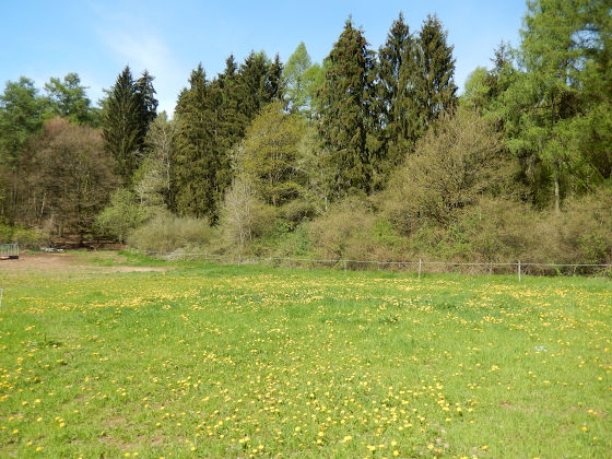 SHS-Traumschleife Schluchtenpfad