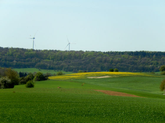 SHS-Traumschleife Schluchtenpfad