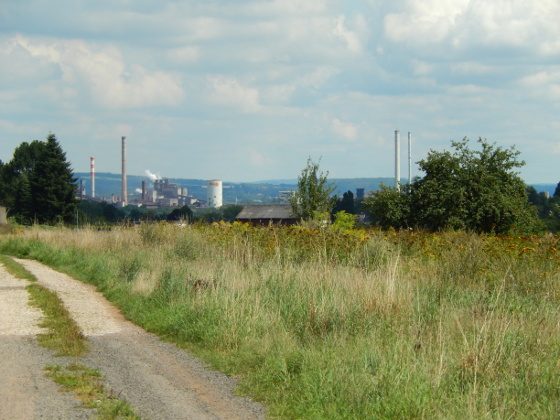 SHS-Traumschleife Vaubansteig