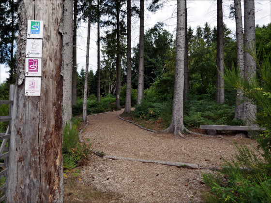 SHS-Traumschleife Der Hochwälder