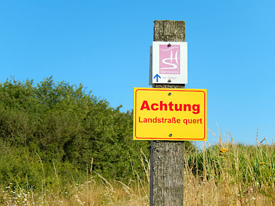 SHS-Traumschleife Der Gisinger